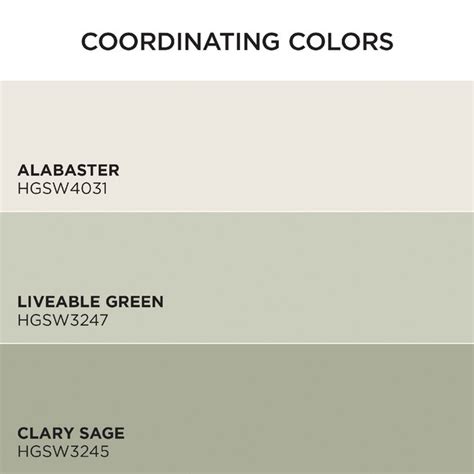 Hgtv Home By Sherwin Williams Everlast Satin Nuance Hgsw4060 Latex