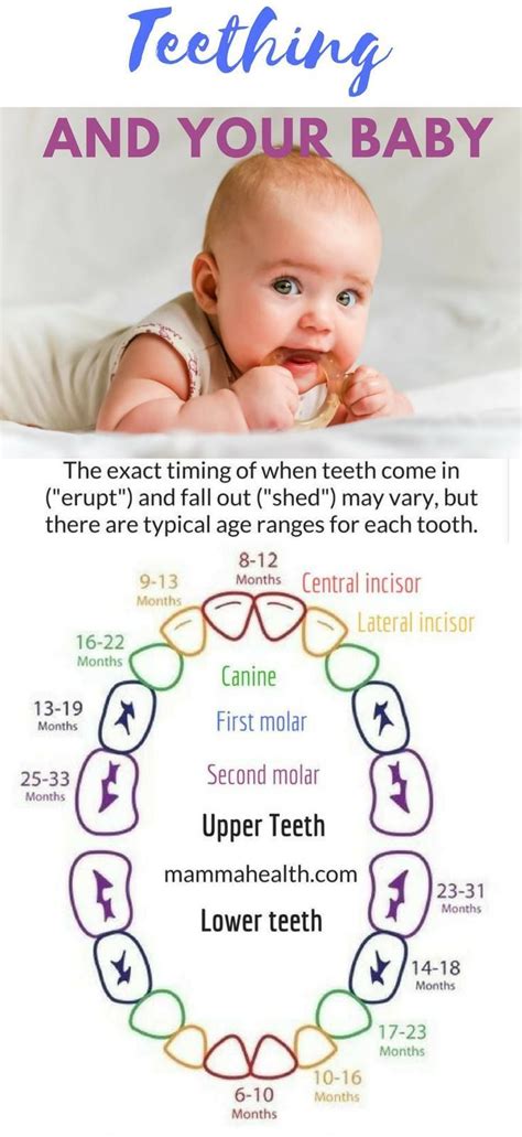 Teething And Your Baby Symptoms And Remedies With Images Baby