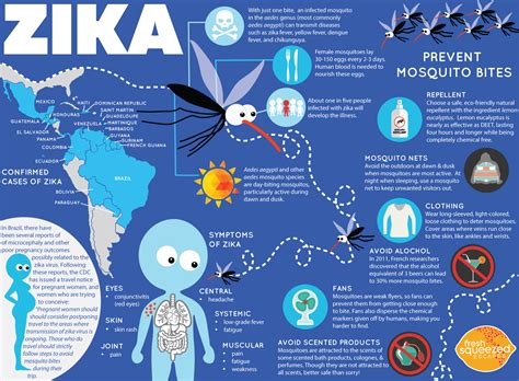 Infographic Virus Zika Triệu Chứng Và Cách Phòng Ngừa