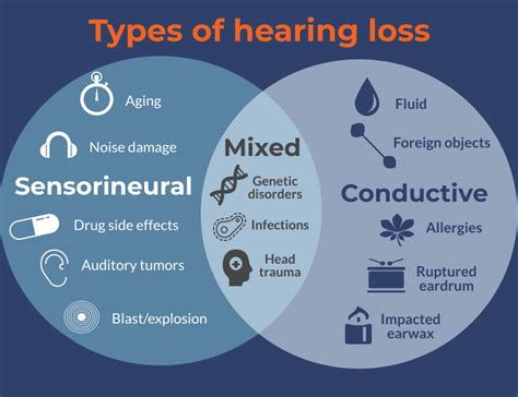6 Causes Of Hearing Loss The Ear Depot