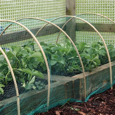 Such hoops are available from garden centers or can be. Protect Plants & Fruits with Our Quality Garden Netting