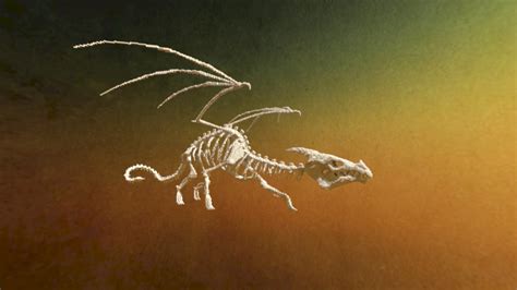 Dragon Skeleton By Ichi Minecraft Map