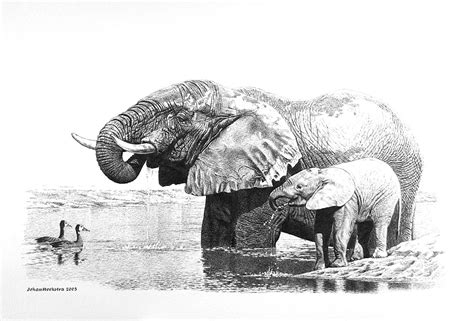Elephant Painting Elephant Art Original Wall Art Original Paintings