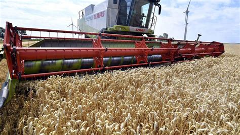 Top 5 des plus grands pays producteurs agricoles en Europe  Agri Systems
