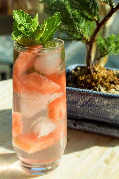 Coconut canal gin mixed drink. Watermelon Buddha | Recipe | Easy drink recipes, Coconut water cocktail, Spiced rum