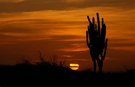 15 scenic train rides across Europe