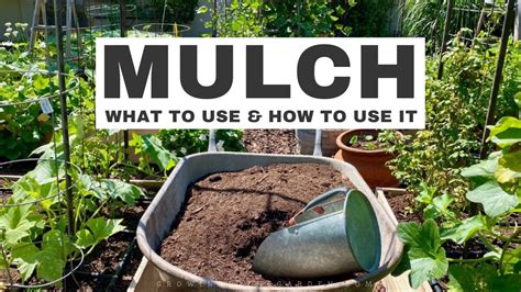 MULCHING YOUR GARDEN: WHAT to use and HOW to use it - Gardening Chronicle