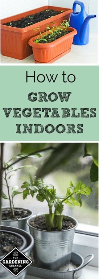 Can You Grow Vegetables Indoors Gardening Channel