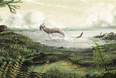 Four Legged 350 Million Year Old Fossils Fill An Evolutionary Gap