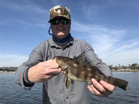 Maybe you would like to learn more about one of these? San Diego Fish Report 1/29/18 TheFlyStop.com Fly Shop