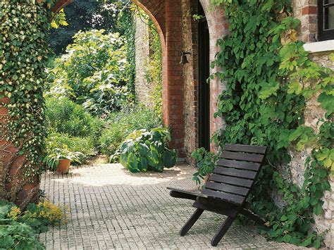 Climbers have a variety of techniques for moving upwards and outwards. Step Up Your Garden's Design with Climbing Plants - WholeStory