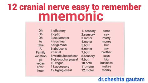 How To Remember Cranial Nerves Mnemonic Images And Photos Finder