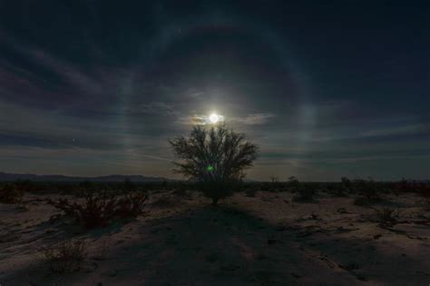Desert Night 22° Lunar Halo Shutterbug