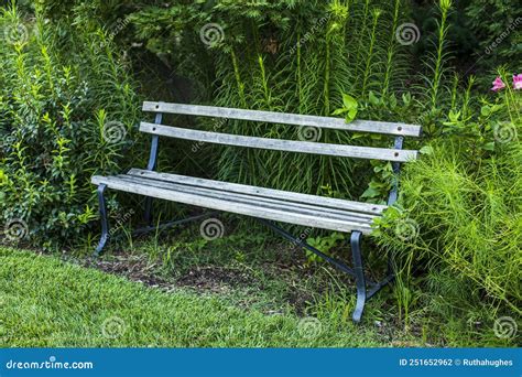 One Outdoor Wooden Park Bench Surrounded By Green Flower Plants Stock