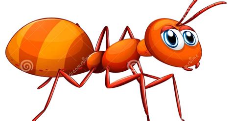 Ants Clipart Amazing Wallpapers