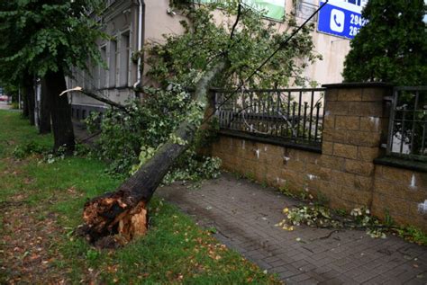 Balta Latvian Residents Insurance Claims After Recent Thunderstorm Reach Eur 315 000 Baltic