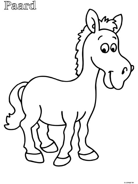 Mooie paard om te versieren. kleurplaat paard - Google zoeken | Dierenboek, Boerderijdieren, Dieren