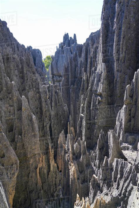 Tsingy de Bemaraha National Park, UNESCO World Heritage Site, Melaky Region, Western Madagascar ...