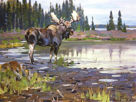 Moose Painting By Rungius Carl Pixels