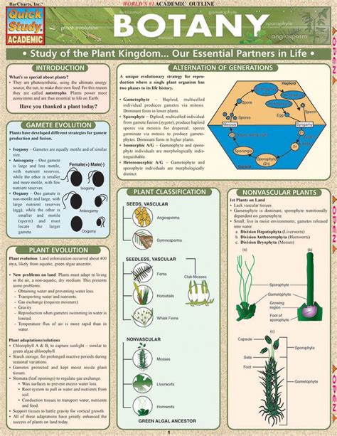 Quickstudy Botany Laminated Study Guide 9781572225626 Botany Plant