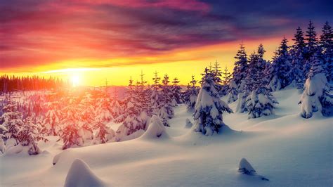 Landscape Snow Trees Sunset Wallpapers Hd Desktop And