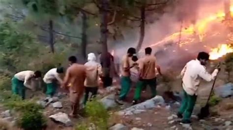 اسلام آباد، مارگلہ کی پہاڑیوں پر آگ لگ گئی