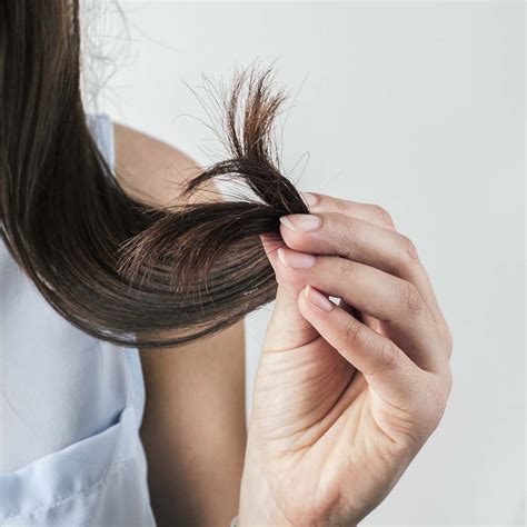Signs You Have Dry Damaged Hair And How To Repair It