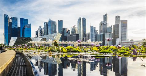 Much of its large population commutes to work using green methods of transportation, such as bicycles, public transport, or simply walking. The 10 best sustainable cities in 2019 according to Treepedia