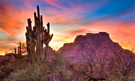 How To Spend A Weekend In Organ Pipe Cactus National Monument