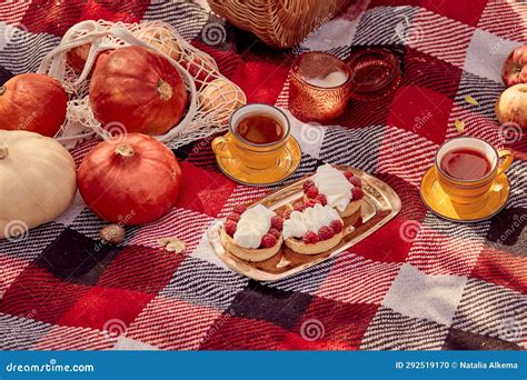 Aesthetic Autumn Picnic For Two In The Park Autumn Decorations