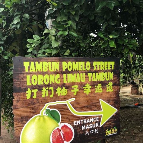 158258a, jalan ampang baru, tambun, ipoh, 31400, malaysia. Ladang Limau Tambun Gochin