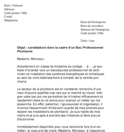 Exemple De Rapport De Stage Bac Pro Tisec  Le Meilleur Exemple