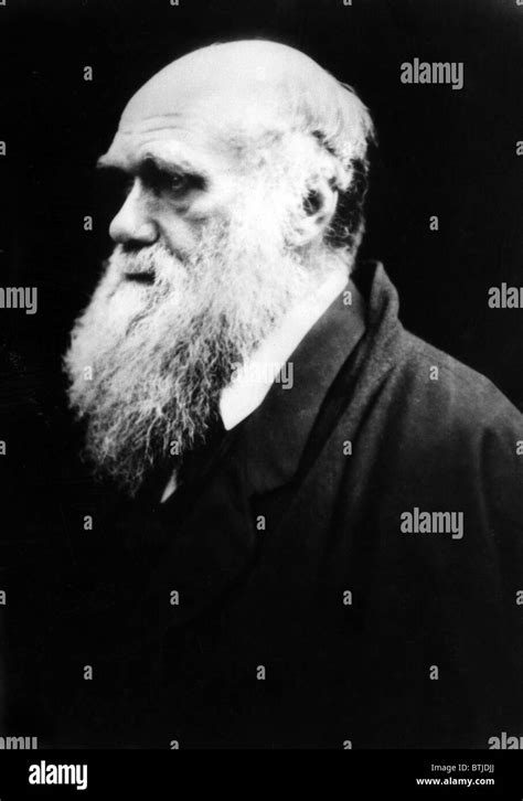 Charles Darwin Theory Black And White Stock Photos And Images Alamy
