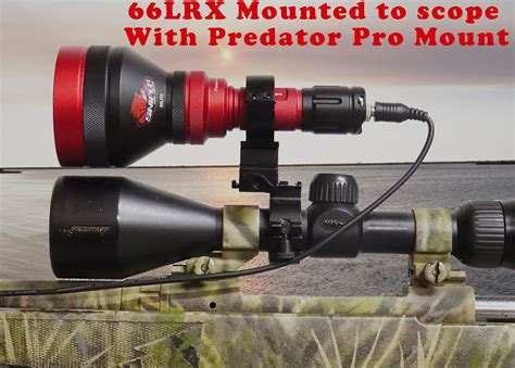 Gun Mounted Lights For Hunting Coyotes Hogs Foxes Bobcats