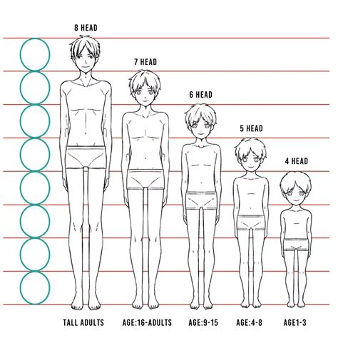 Body Proportion Drawing Human Body Proportions Human Body Drawing