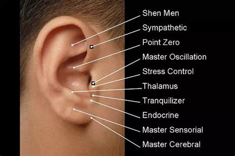 Feeling Stressed Rub Your Ear With Images Ear Reflexology