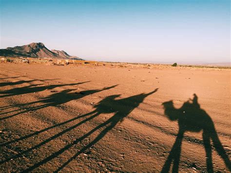 Who wants to spend hours trying to start a fire by rubbing two sticks together? A Night in the Sahara Desert