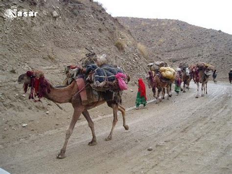 Afghan Nomads Kochi Afghan Kochi Nomads Nasar Pakhtun Flickr