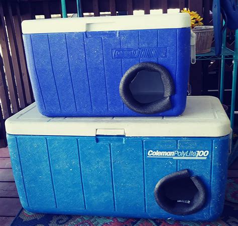 Philip Turns Discarded Coolers Into Winter Shelters For Homeless Cats