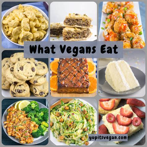 An Introduction to What Vegans Eat | Yup, it's Vegan