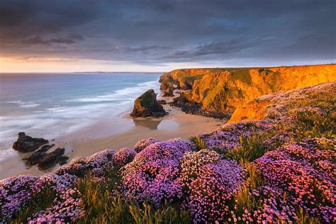 Coast Beach Flowers Sunset Sand Sea Cliff Clouds Rock Nature Landscape