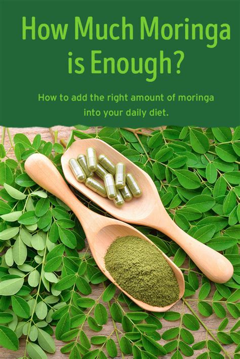 How Much Moringa Is Enough Kuli Kuli Foods