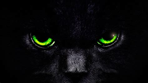 Green Cat Eyes Wallpaper