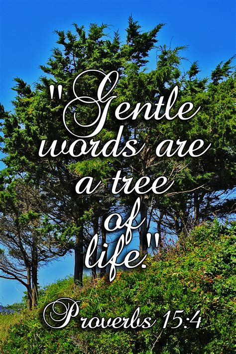 Gentle Words Are A Tree Of Life Proverbs 154 Words Life Proverbs