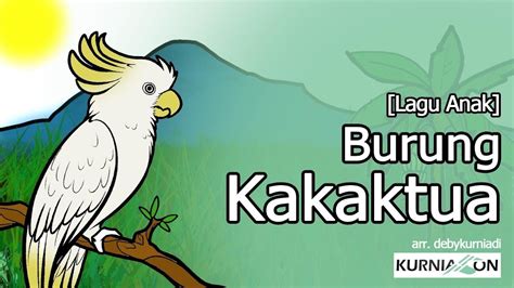 'burung kakak tua' adalah satu dari sekian banyak lagu anak indonesia. Download Gambar Burung Kakak Tua | Pickini