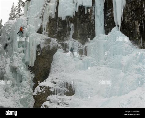 Ice Climbers On Frozen Waterfall Johnston Canyon Banff National Park