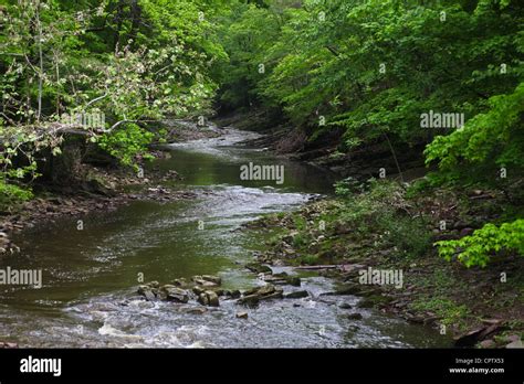 Tributary And River Hi Res Stock Photography And Images Alamy