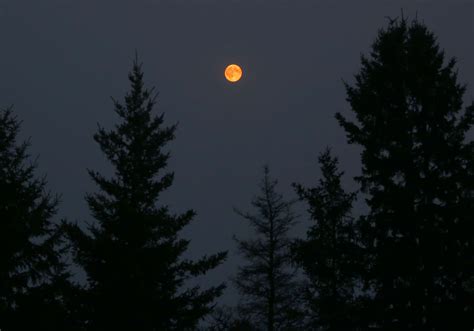 Eclipse By Fire Smoky Haze Pervades Night Sky Darkens