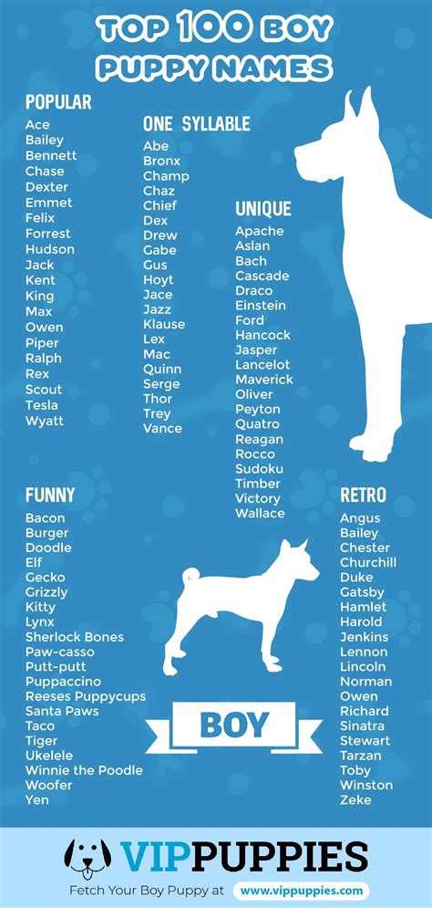 Browse Our 1000 Male Dog Names To Find The Perfect Name For Your New