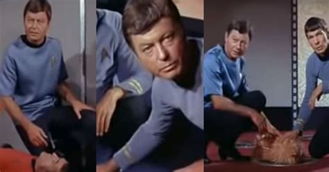 DeForest Kelley Had A Complicated Relationship With This Star Trek Catchphrase
